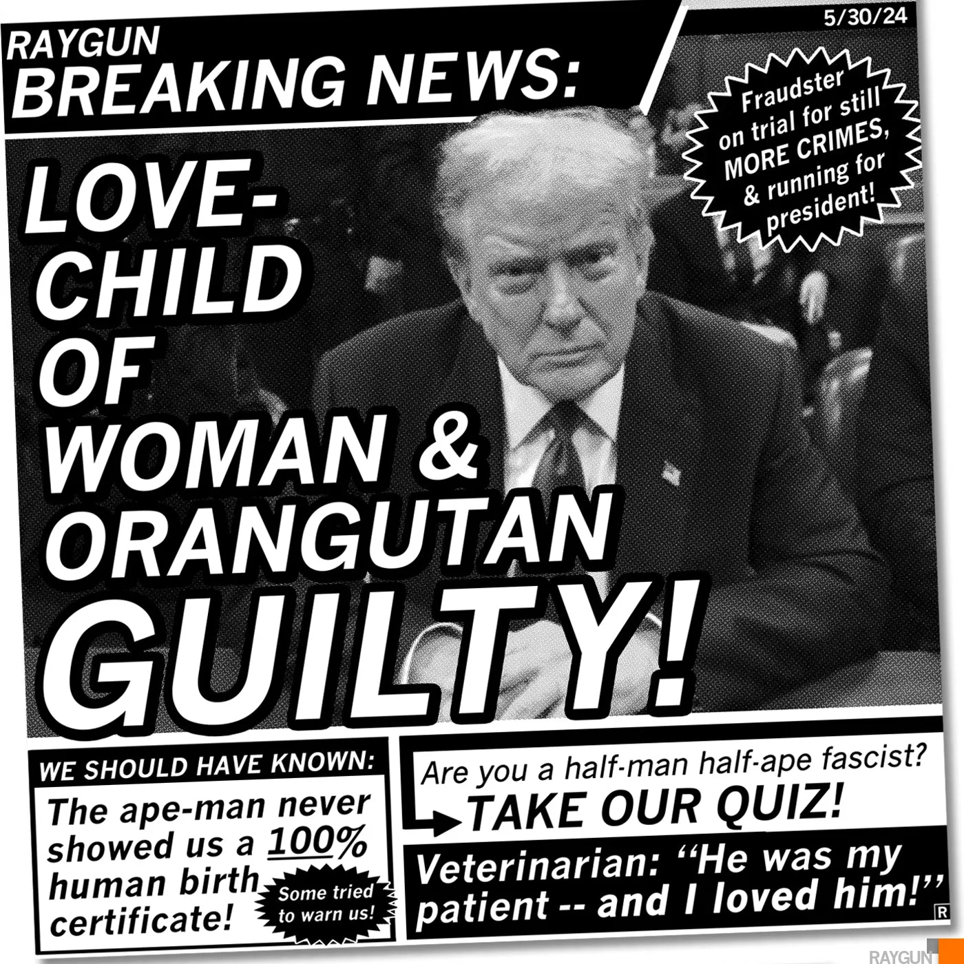 34 Felony Counts MAGA Version