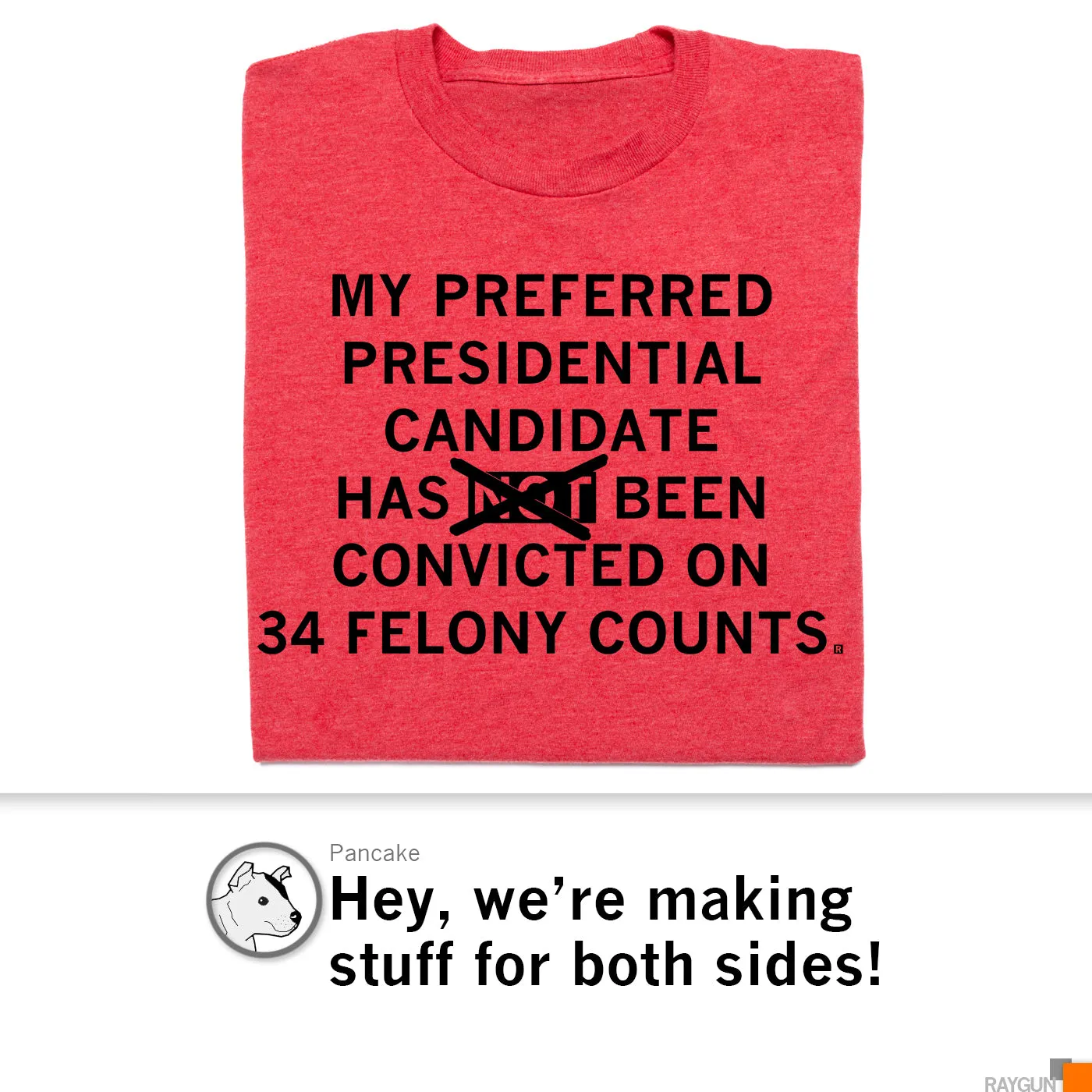 34 Felony Counts MAGA Version