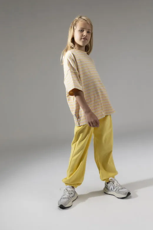Boxy T-Shirt Honey Stripe