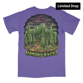 Northern Lights Glow (Lavender)